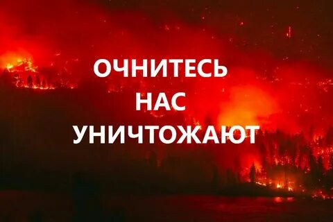 Люди очнитесь
