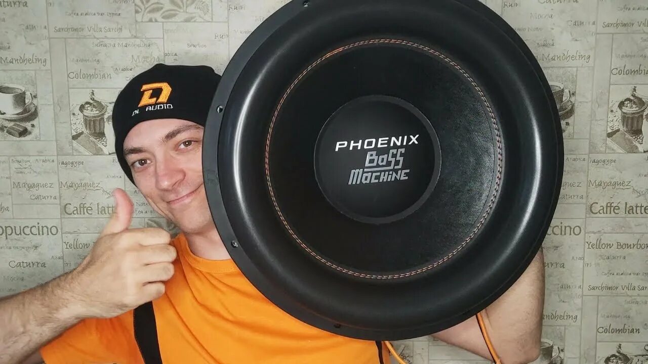 Феникс басс. DL Audio Phoenix Bass Machine 18. Саб DL Bass Machine 18. DL Audio Phoenix саб. DL Audio Raven 15 короб.