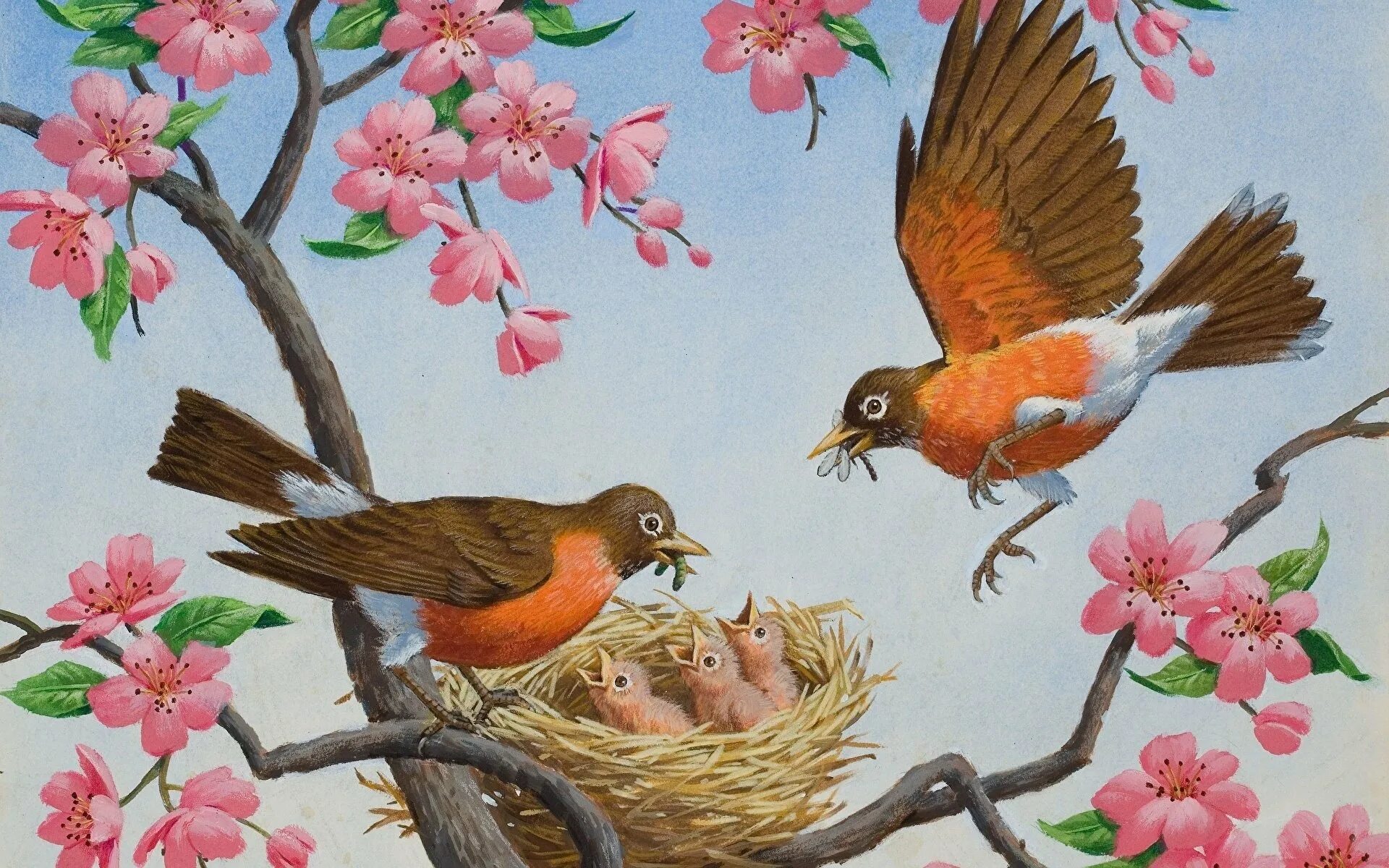 Весенние птицы рисунок. Птицы. Весенние сюжеты. Весенние птицы в гнезде.