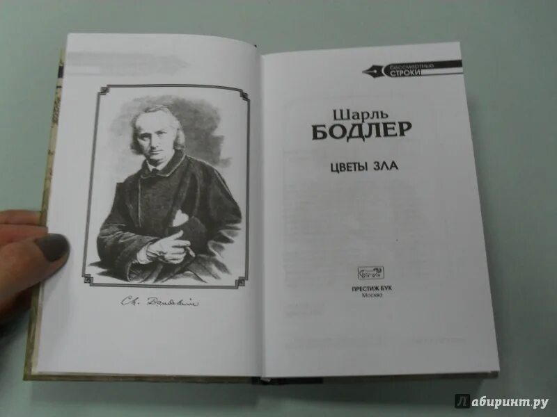 Бодлер цветы зла читать. Шарль бодлер цветы зла иллюстрации. книга цветы зла (бодлер шарль). бодлер цветы зла иллюстрации к книге. искусственный рай бодлер.