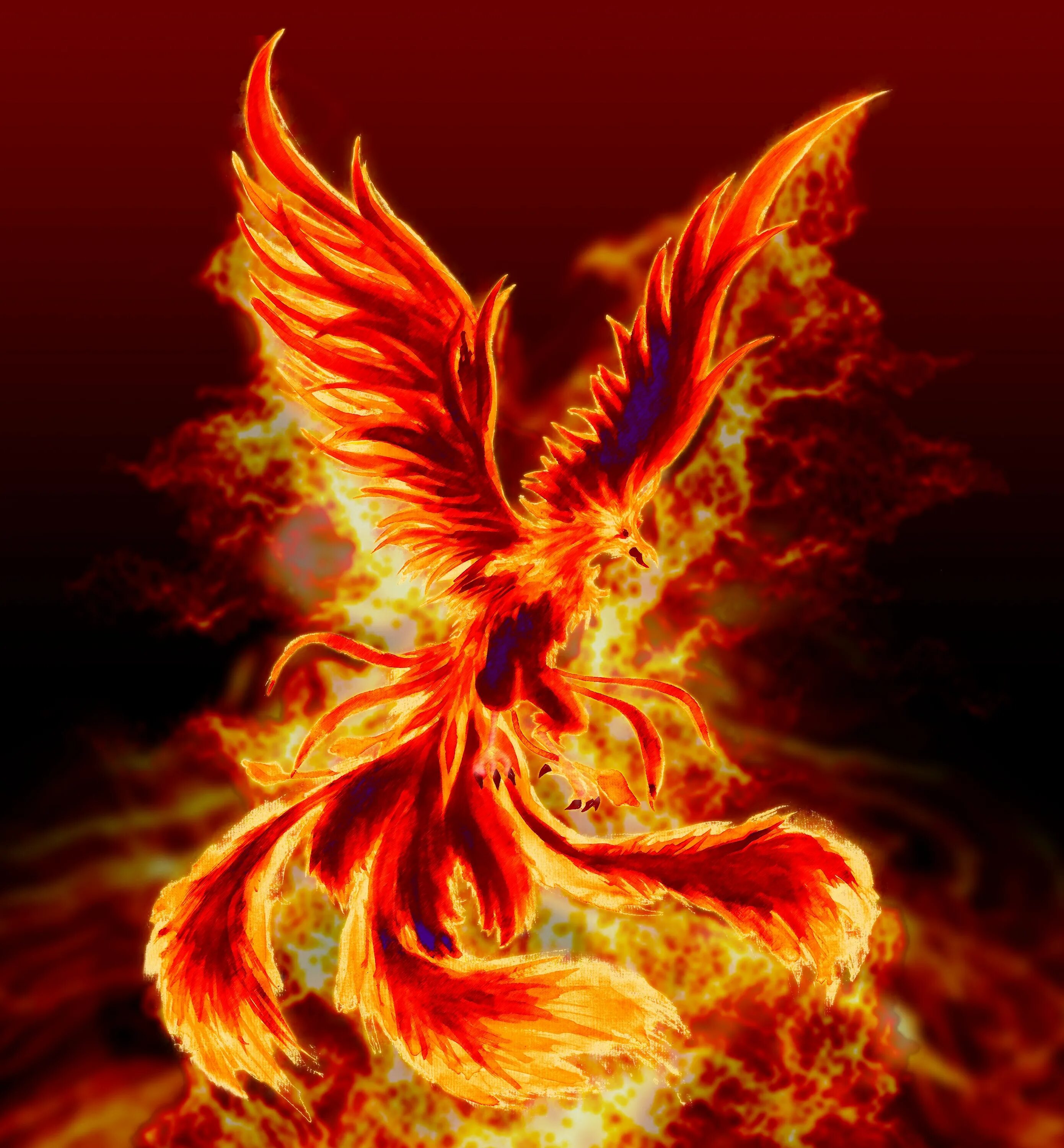 Phoenix 4pda