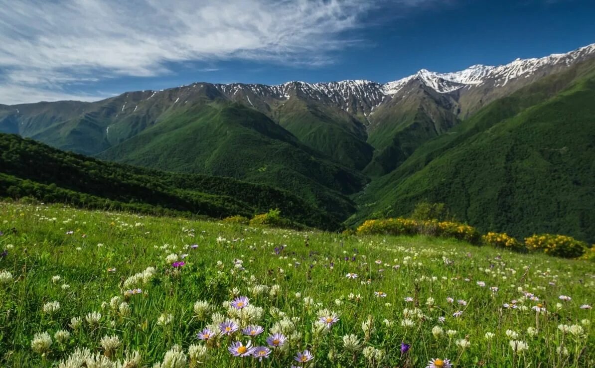 Родной край чеченская республика. Чечня. Урус мартан природа. Родной край чеченская республика. Моцарой (башенный комплекс).