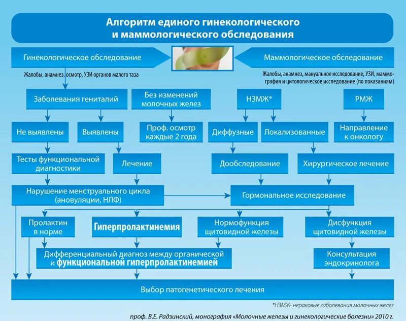 Диагностика заболеваний женских органов. Алгоритмы диагностики заболевании. Алгоритм обследования. Методы обследования гинекологических больных. План обследования в гинекологии.