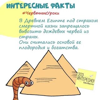Интересные факты о дождевых червях