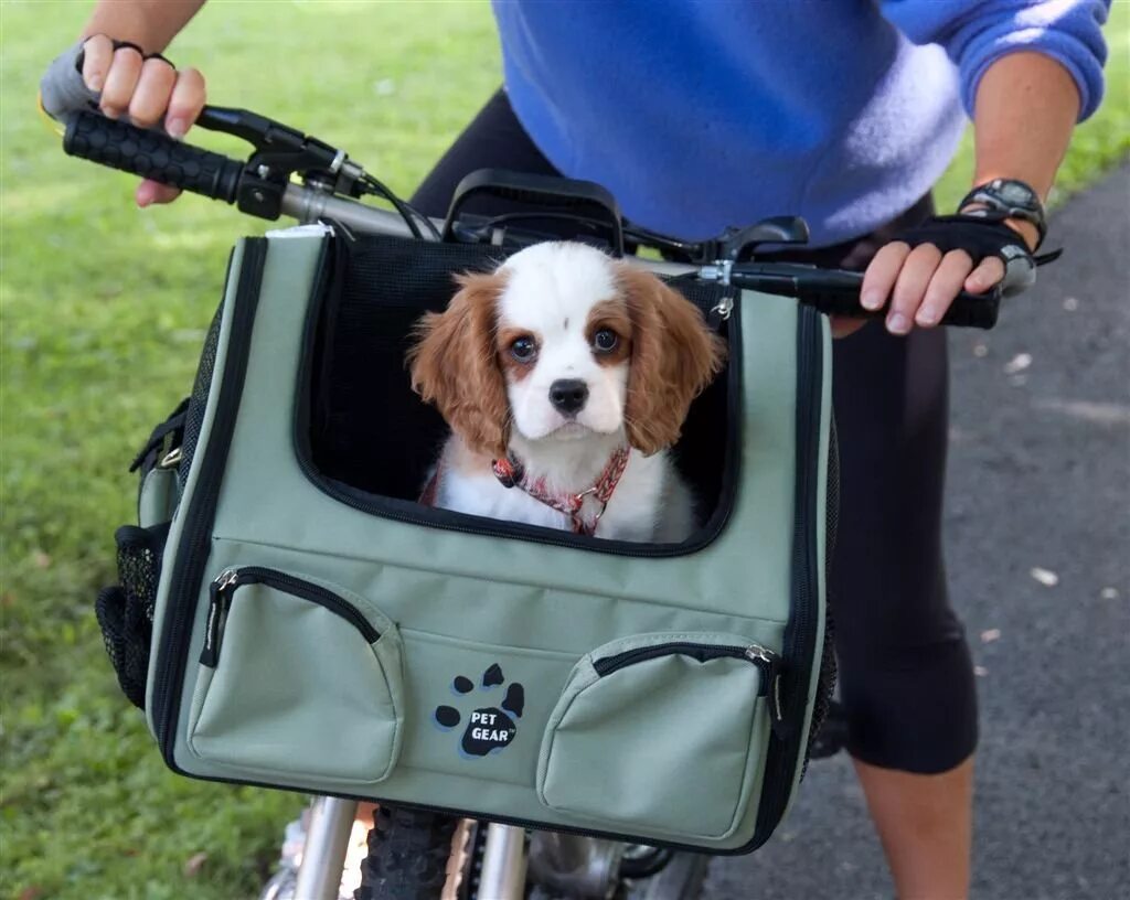 Можно перевозить собаку в автобусе. Сумка велосипедная pefsit Dog Bicycle Basket. Велосипедная переноска для собак. Переноска для животных на велосипед. Сумка переноска для собак на велосипед.
