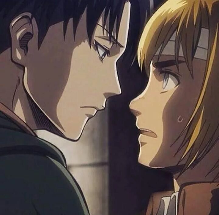 Леви и армин. Армин и леви 18. Леви и энни. Армин арлерт и леви. Армин аккерман.