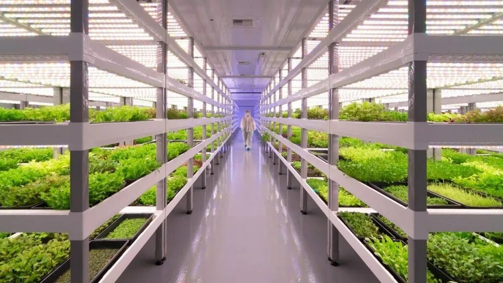 Вертикальная ферма Oasis Biotech. Bowery Farming вертикальная ферма. Роменвиль Франция вертикальная ферма. Ферма AEROFARMS.