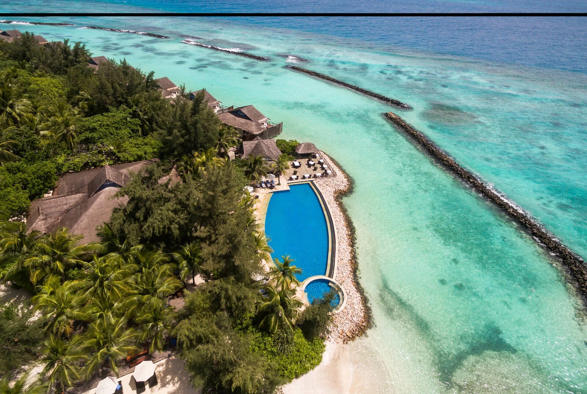 Лучшие отели с коралловыми рифами. Taj Coral Reef Resort Spa 5. Мальдивы отели с рифом. Курорт four Seasons Barrier Reef Resort. Coral Beach Resort 5.