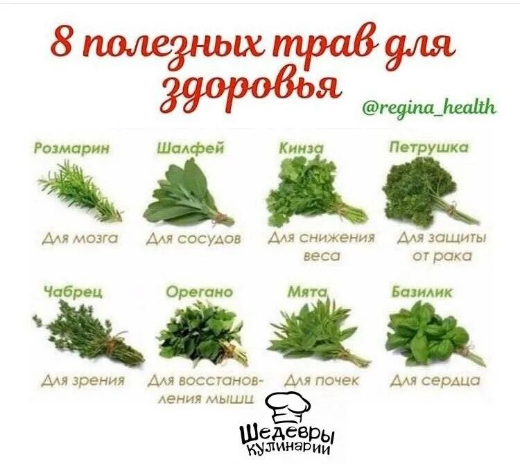 Картинки КАКИЕ ТРАВЫ МОЖНО СМЕШИВАТЬ ДЛЯ ЧАЯ