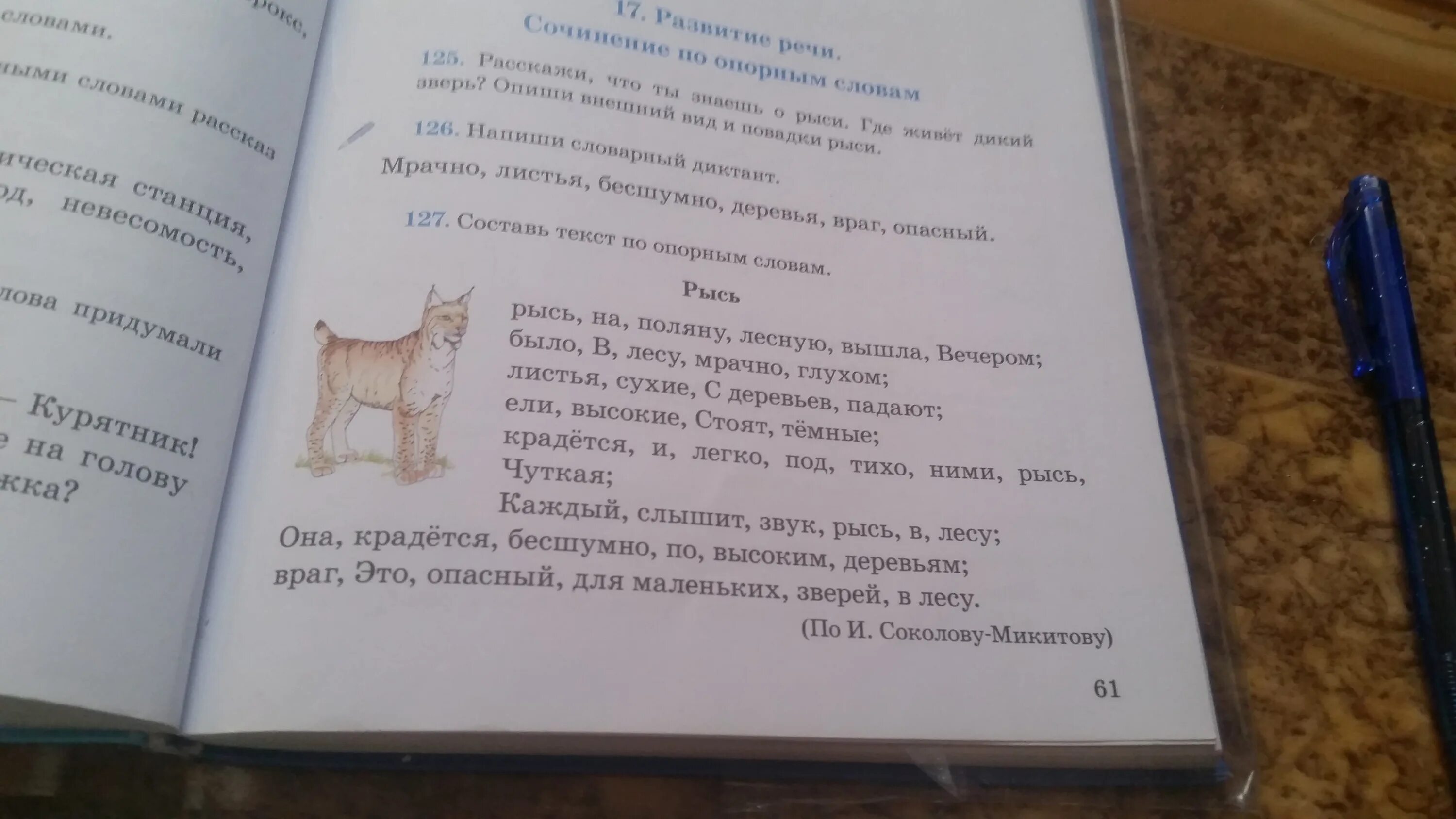 Рысь составить предложение. Рысь вечером выходит на лесную поляну. диктант про рыся. рысь по соколову микитову.