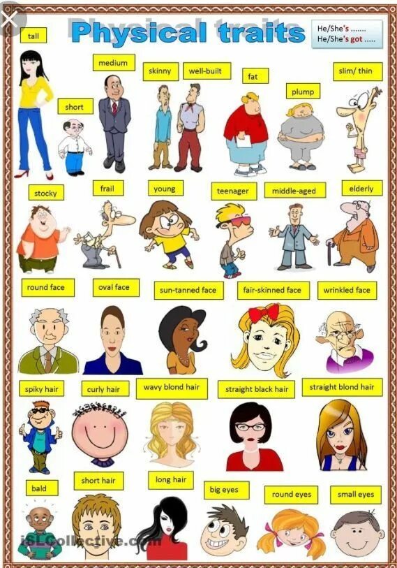 Who is who vocabulary. Appearance описание внешности Worksheet. Карточки для описания внешности. Внешность на англ. Описание внешности на англ яз.