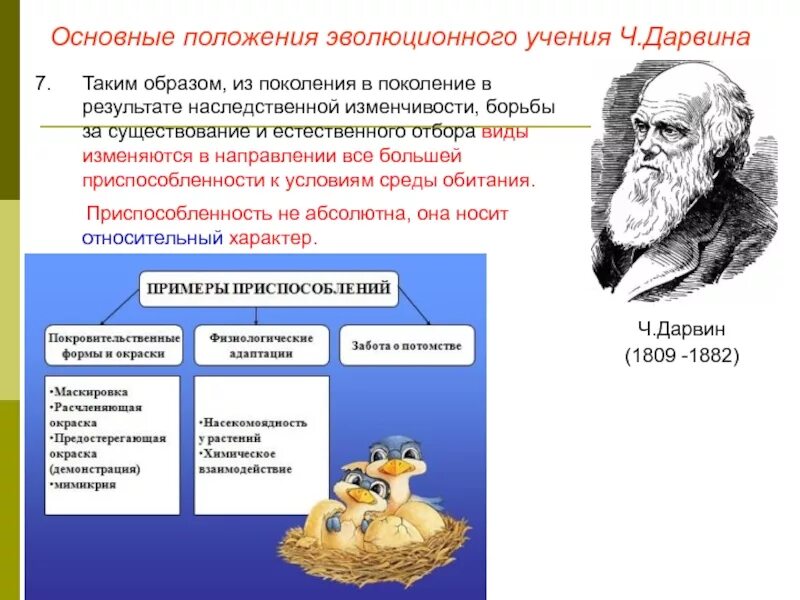 Что лежит в основе представлений об эволюции. Что лежит в основе представлений об эволюции