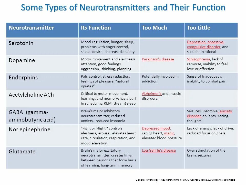 Type fixedstring type. Types of neurons their function. neurotransmitter. types of functions. some type.