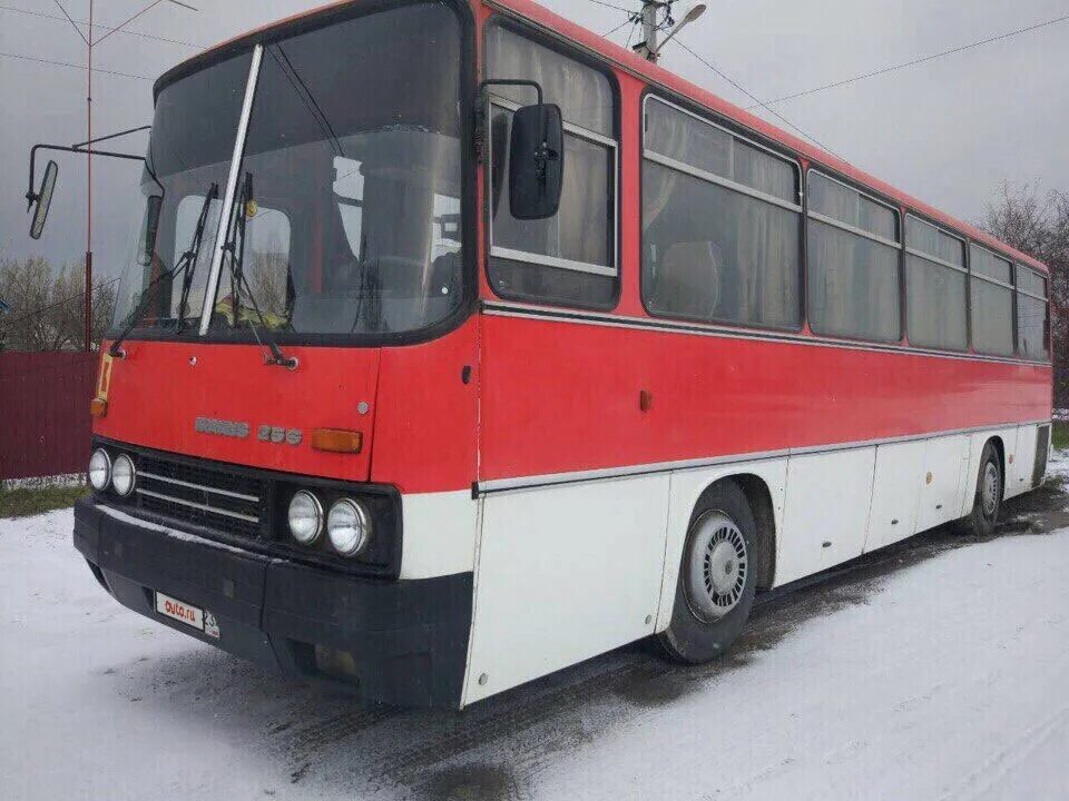 Авито автобус купить б у. Икарус 250 1994. Икарус 250 Люкс. Икарус 256 красный. Икарус 256 Люкс.