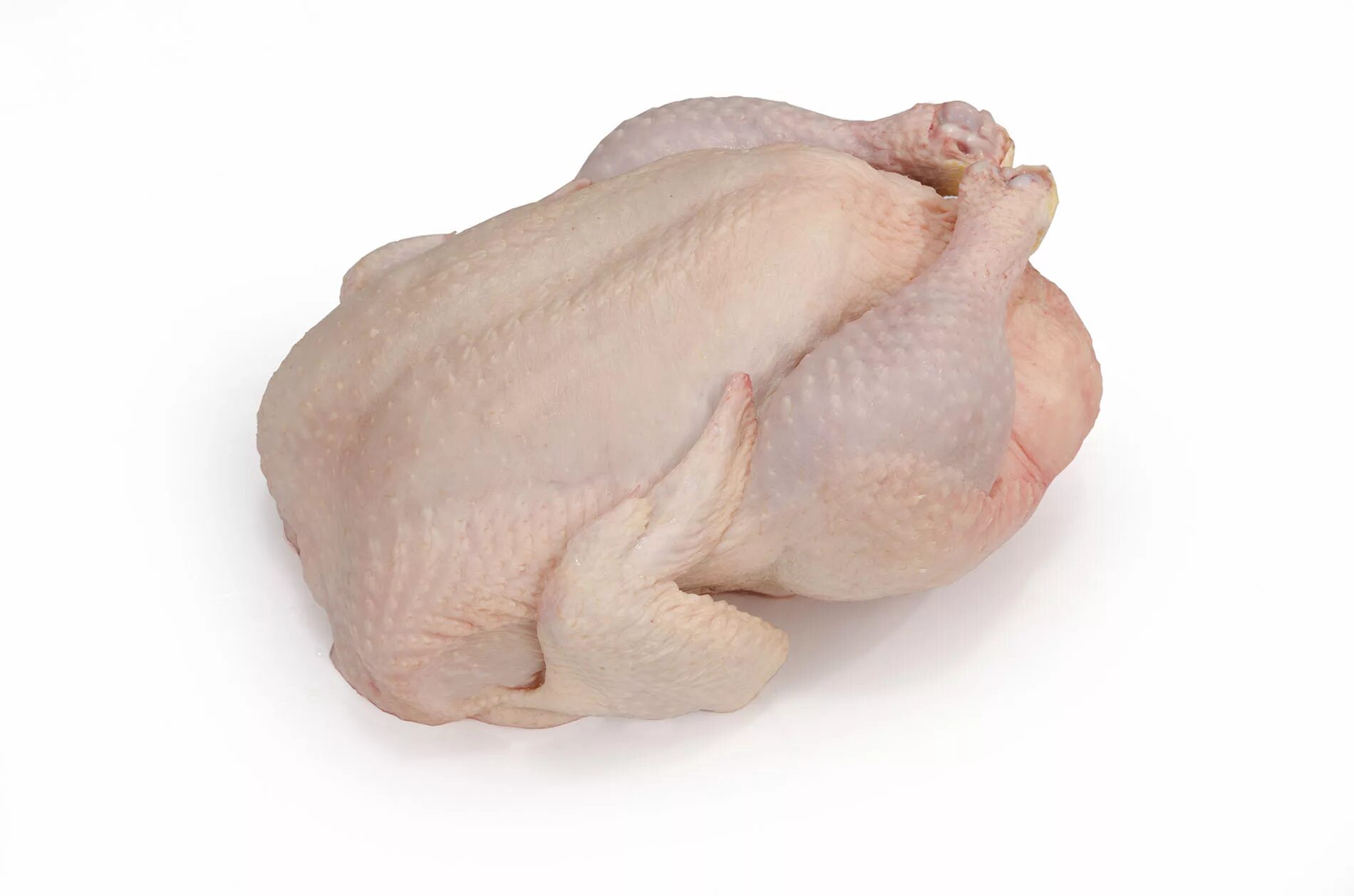 Курица бройлерная потрошеная. Тушка цыпленка бройлера 600 грамм. Тушка куриная. Тушка курицы охлажденная.