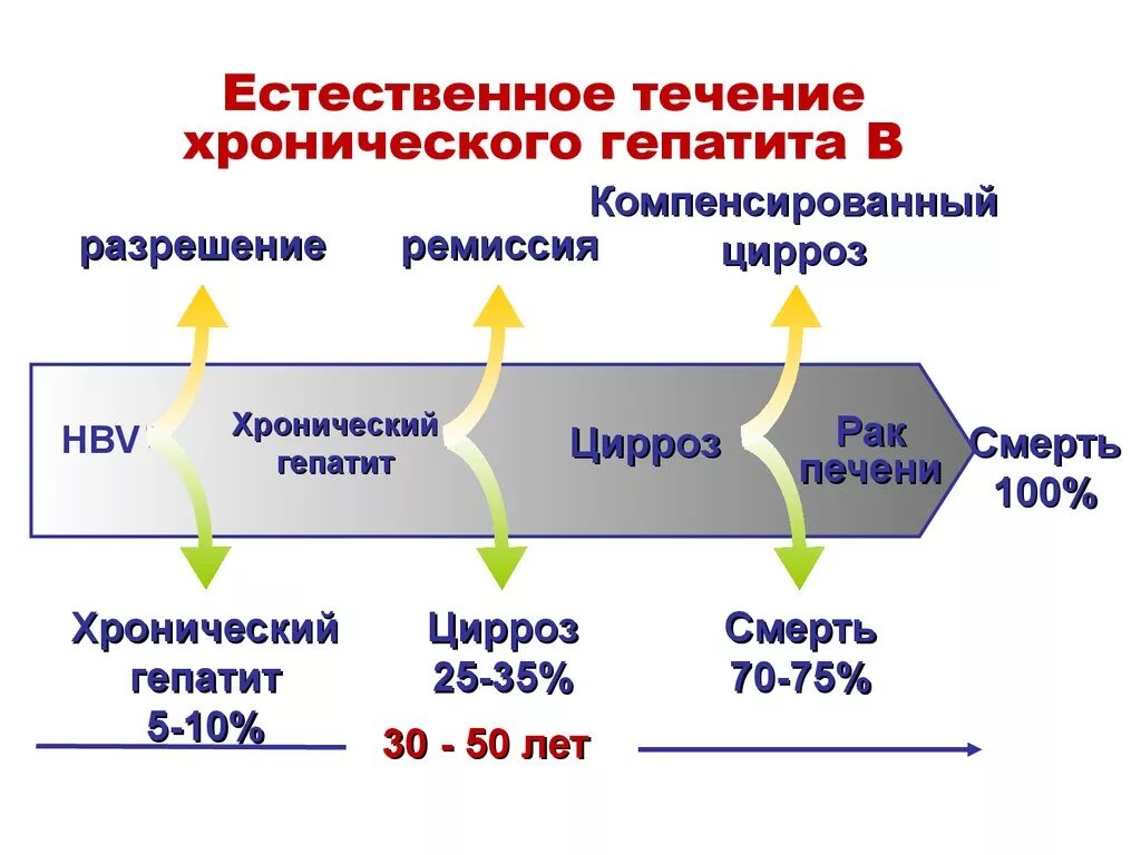 Течение хронического гепатита. Естественное течение хронического гепатита в. Фазы течения хронического гепатита в. Течение гепатита б.