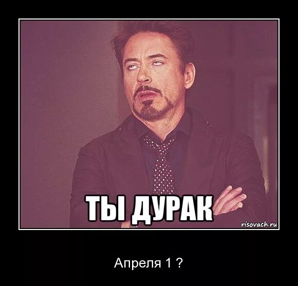 Кто такой дурак. Высказывания о дураках. Сам дурак. Котик дурачок. Надпись я дурак.