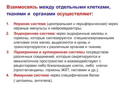 Взаимосвязь между строение и функции