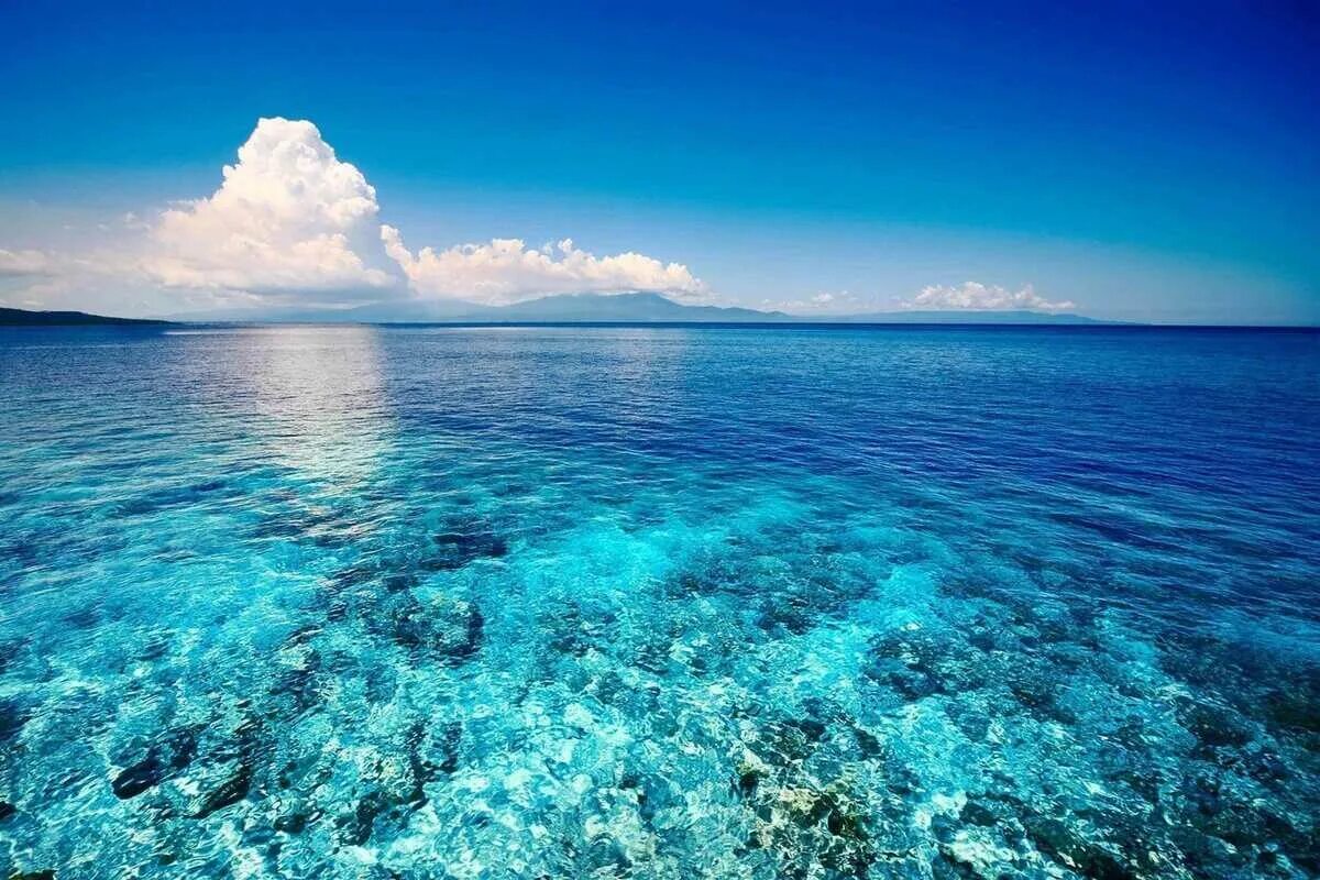 Морской заповедник Саут-Уотер-Кей,. Море Сулавеси. Море. Красивое море. Красивое видео воды