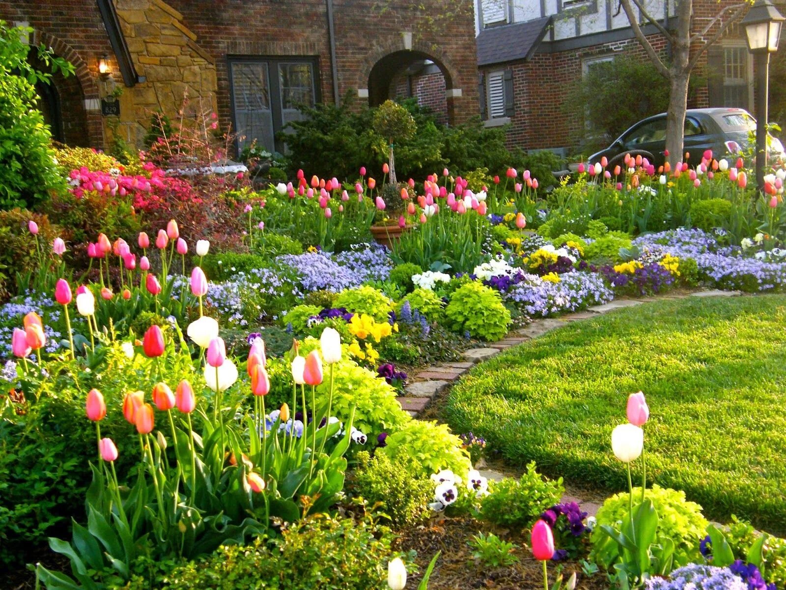 Garden flowers перевод. Рабатка Тунберга. Палисадники клумбы лужайки. Цветник в саду. Красивый двор с цветами.