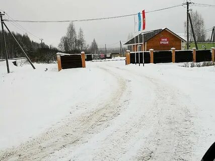 Д п лесное