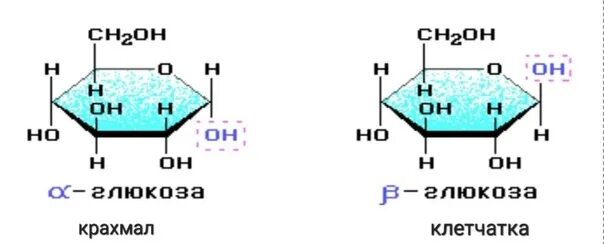 Целлюлоза состоит из. Альфа изомеры. Гексахлоран конформация. Бета глюкоза формула. Альфа и бета изомеры глюкозы.