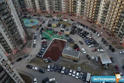 Санкт петербург просвещения 99