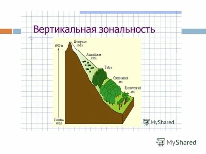 периодический закон зональности григорьева-будыко. вертикальная зональность. горизонтальная и вертикальная зональность. вертикальная зональность. закон вертикальной зональности почв.