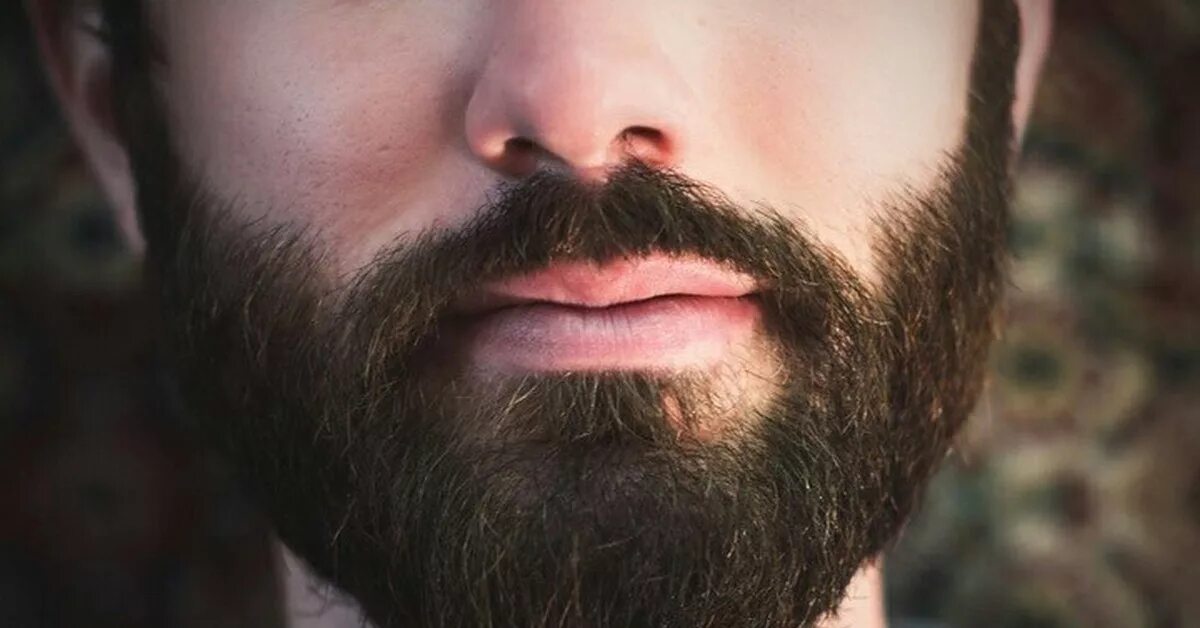 Борода. Густая борода. Густая щетина. Коричневая борода.