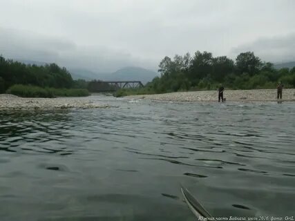Безымянная река