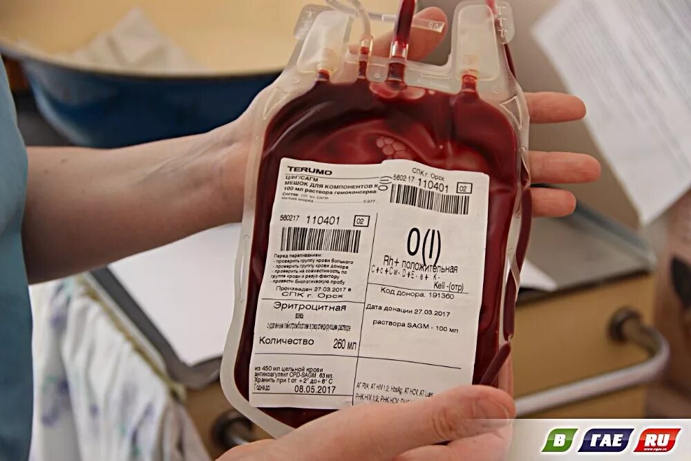 Хранение крови для переливания крови. Холодильник с донорской кровью. Срок хранения крови для переливания. Пакеты для хранения крови.