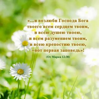 Две заповеди бога