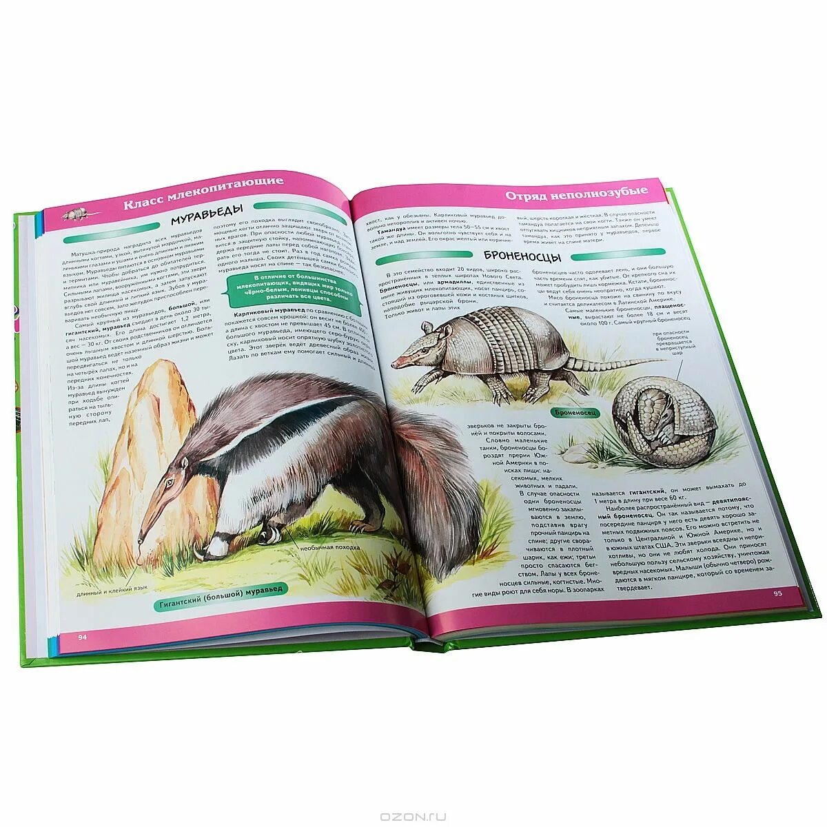 животные. животные. большая иллюстрированная энциклопедия животных. иллюстрированная энциклопедия животных лабиринт. большая энциклопедия животных.