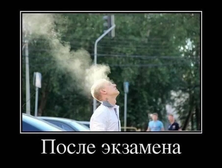 Сдать экзамен по философии. После экзамена. после экзамена прикол. приколы про экзамены. со сдачей экзамена картинки прикольные.