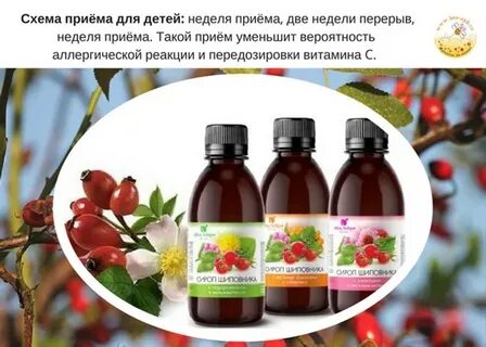 Шиповник при беременности