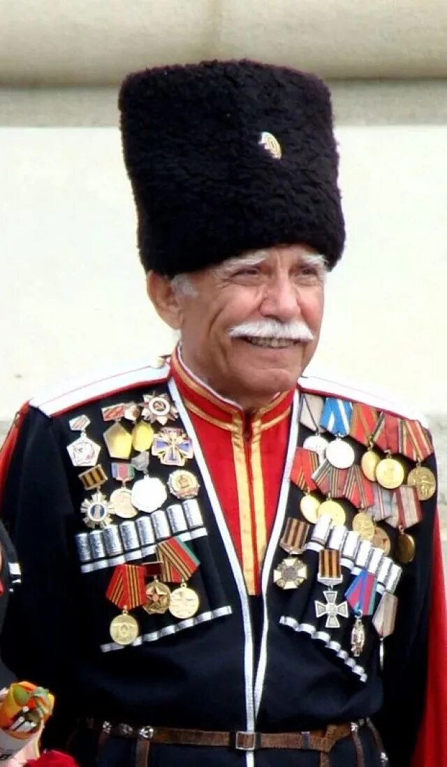 Полковник погранслужбы смирнов анатолий владивосток. Матвей иванович платов 1812. Атаманы герои. Николай александрович долуда. Казачий атаман николай козицын.