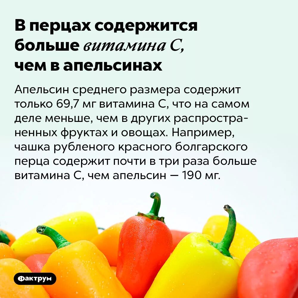 В каком перце больше витаминов. Перец какие витамины содержит. Перец какие витамины содержит. В каком перце больше витаминов. Витамины в перце болгарском сладком.