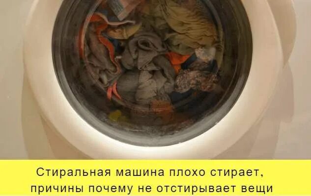 Одежда в стиралке. Постирал кота в стиральной. Привет мой хозяин картинки. Одежда после стирки. Женщина стирает.