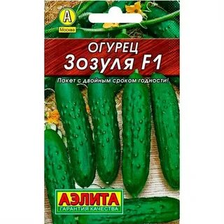 Огурцы зозуля отзывы фото описание