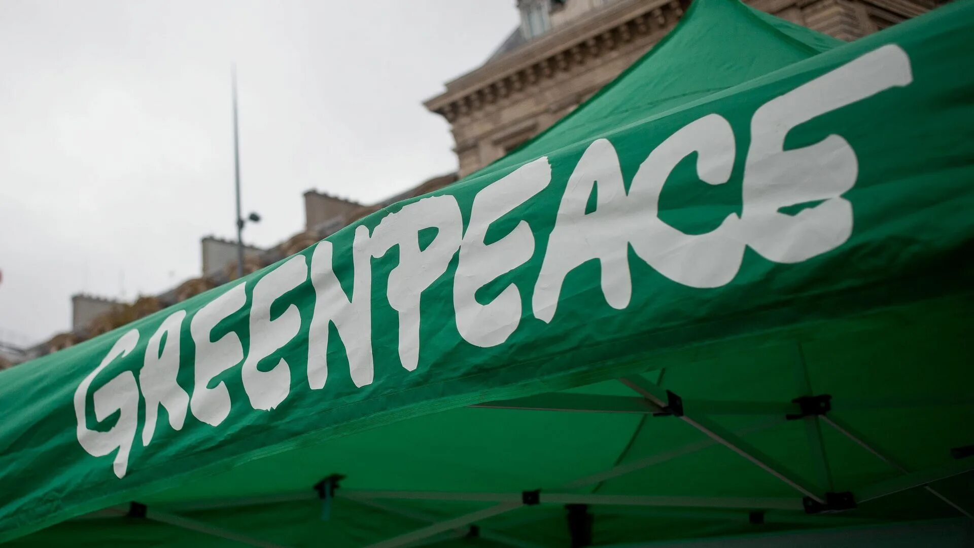 Greenpeace organization