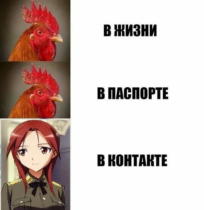 Анти аниме. Аниме против рикардо милос. Мемы против анимешников. Против анимешников. Аниме хейтерам.