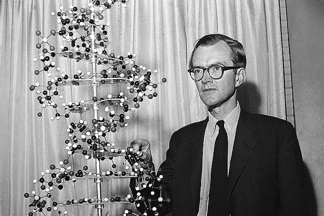Нобелевская премия за открытие днк. Нобелевская премия днк. Нобелевские лауреаты в медицине. Открыватели структуры днк. Нобелевская премия за открытие днк.