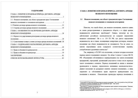 Обзор дипломной работы
