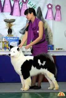 Моно выставка
