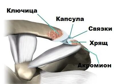 Капсула связок