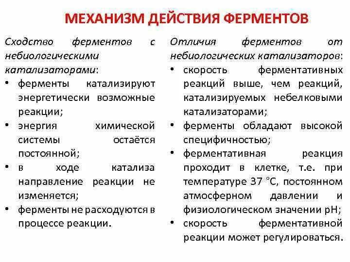 Давление ферментов. Механизм действия ферментов схема. Механизм работы ферментов. Принцип работы ферментов. Механизм функционирования ферментов.