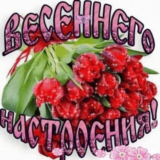 Мартовский приветик