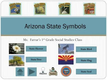Social grade