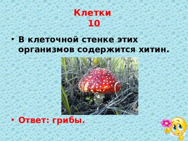 Растения содержат хитин в оболочках клеток. Хитин у грибов. в клеточных стенках подосиновика содержится вещество хитин.
