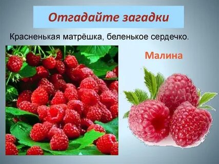 Маленькая матрешка беленькое сердечко отгадка